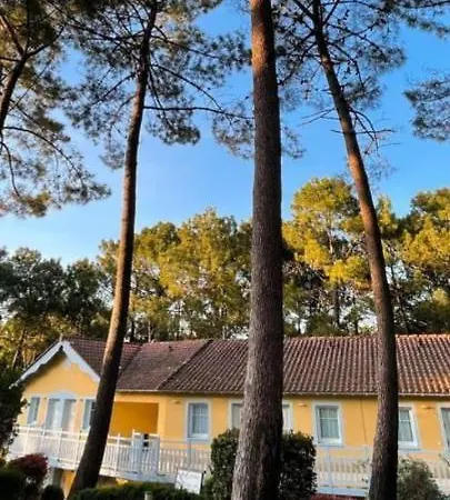 Au Milieu De La Pinede * Lacanau